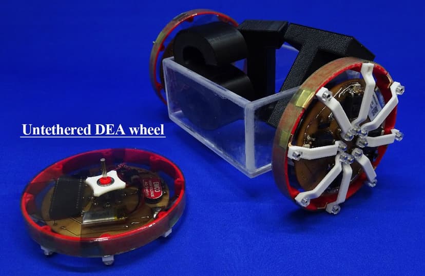 DEA Wheel